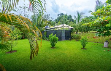 TWO FLOOR PROPERTY WITH FOUR BEDROOM AND FRUIT TREES, IN OJOCHAL – 1.02 ACRES