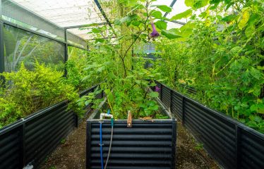 TWO FLOOR PROPERTY WITH FOUR BEDROOM AND FRUIT TREES, IN OJOCHAL – 1.02 ACRES