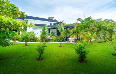 TWO FLOOR PROPERTY WITH FOUR BEDROOM AND FRUIT TREES, IN OJOCHAL – 1.02 ACRES