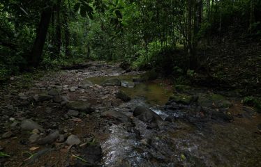 BOUTIQUE RIVERSIDE HOTEL WITH 6 GUEST VILLAS, IN OJOCHAL – 2.86 ACRES