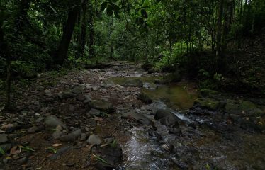 BOUTIQUE RIVERSIDE HOTEL WITH 6 GUEST VILLAS, IN OJOCHAL – 2.86 ACRES