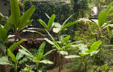 BOUTIQUE RIVERSIDE HOTEL WITH 6 GUEST VILLAS, IN OJOCHAL – 2.86 ACRES