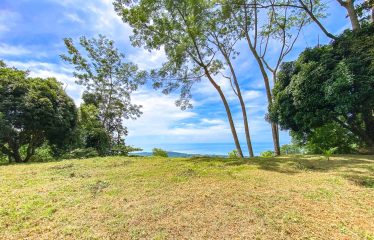 BUILDING PROPERTY WITH PANORAMIC VIEWS OF THE OCEAN AND VALLEY, IN UVITA – 1.4 ACRES