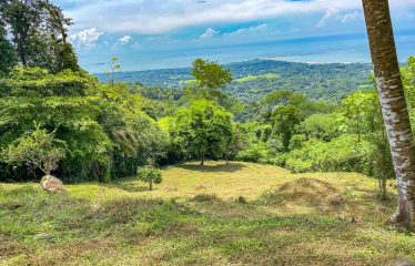 BUILDING PROPERTY WITH PANORAMIC VIEWS OF THE OCEAN AND VALLEY, IN UVITA – 1.4 ACRES