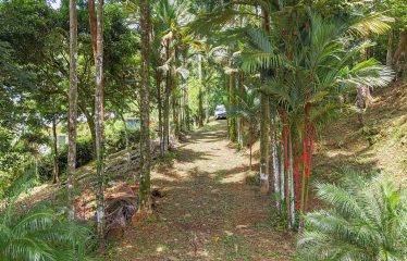 BUILDING PROPERTY WITH PANORAMIC VIEWS OF THE OCEAN AND VALLEY, IN UVITA – 1.4 ACRES