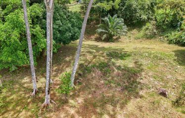 BUILDING PROPERTY WITH PANORAMIC VIEWS OF THE OCEAN AND VALLEY, IN UVITA – 1.4 ACRES