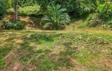 BUILDING PROPERTY WITH PANORAMIC VIEWS OF THE OCEAN AND VALLEY, IN UVITA – 1.4 ACRES
