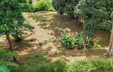 BUILDING PROPERTY WITH PANORAMIC VIEWS OF THE OCEAN AND VALLEY, IN UVITA – 1.4 ACRES