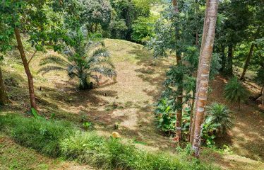 BUILDING PROPERTY WITH PANORAMIC VIEWS OF THE OCEAN AND VALLEY, IN UVITA – 1.4 ACRES