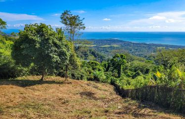 BUILDING PROPERTY WITH PANORAMIC VIEWS OF THE OCEAN AND VALLEY, IN UVITA – 1.4 ACRES