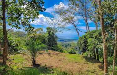 BUILDING PROPERTY WITH PANORAMIC VIEWS OF THE OCEAN AND VALLEY, IN UVITA – 1.4 ACRES