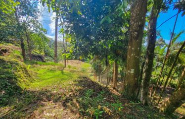BUILDING PROPERTY WITH PANORAMIC VIEWS OF THE OCEAN AND VALLEY, IN UVITA – 1.4 ACRES