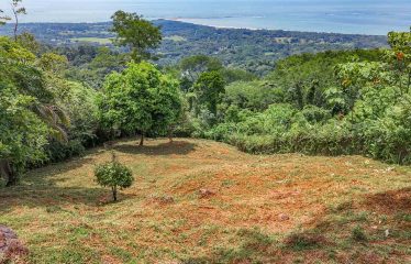 BUILDING PROPERTY WITH PANORAMIC VIEWS OF THE OCEAN AND VALLEY, IN UVITA – 1.4 ACRES