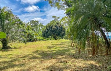 BUILDING PROPERTY WITH PANORAMIC VIEWS OF THE OCEAN AND VALLEY, IN UVITA – 1.4 ACRES