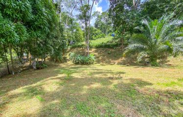 BUILDING PROPERTY WITH PANORAMIC VIEWS OF THE OCEAN AND VALLEY, IN UVITA – 1.4 ACRES