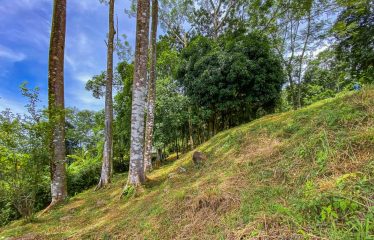 BUILDING PROPERTY WITH PANORAMIC VIEWS OF THE OCEAN AND VALLEY, IN UVITA – 1.4 ACRES