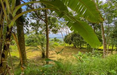 BUILDING PROPERTY WITH PANORAMIC VIEWS OF THE OCEAN AND VALLEY, IN UVITA – 1.4 ACRES