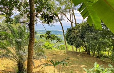 BUILDING PROPERTY WITH PANORAMIC VIEWS OF THE OCEAN AND VALLEY, IN UVITA – 1.4 ACRES