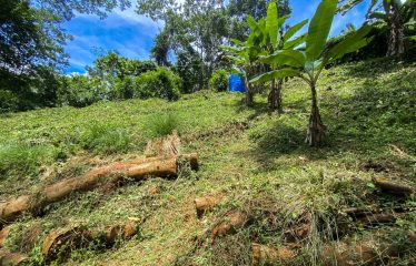 BUILDING PROPERTY WITH PANORAMIC VIEWS OF THE OCEAN AND VALLEY, IN UVITA – 1.4 ACRES