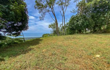 BUILDING PROPERTY WITH PANORAMIC VIEWS OF THE OCEAN AND VALLEY, IN UVITA – 1.4 ACRES