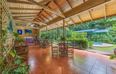 JUNGLE BOUTIQUE HOTEL WITH TWELVE BEDROOMS AND MOUNTAINS VIEWS, IN BAHIA – 7.17 ACRES