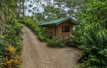 JUNGLE BOUTIQUE HOTEL WITH TWELVE BEDROOMS AND MOUNTAINS VIEWS, IN BAHIA – 7.17 ACRES