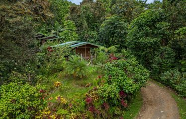 JUNGLE BOUTIQUE HOTEL WITH TWELVE BEDROOMS AND MOUNTAINS VIEWS, IN BAHIA – 7.17 ACRES