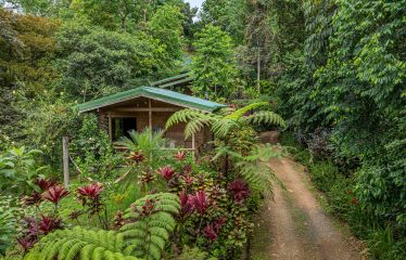 JUNGLE BOUTIQUE HOTEL WITH TWELVE BEDROOMS AND MOUNTAINS VIEWS, IN BAHIA – 7.17 ACRES