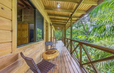 JUNGLE BOUTIQUE HOTEL WITH TWELVE BEDROOMS AND MOUNTAINS VIEWS, IN BAHIA – 7.17 ACRES