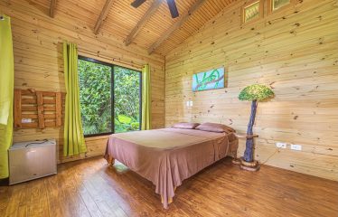 JUNGLE BOUTIQUE HOTEL WITH TWELVE BEDROOMS AND MOUNTAINS VIEWS, IN BAHIA – 7.17 ACRES