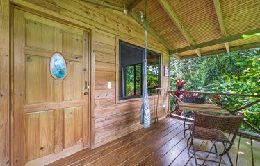 JUNGLE BOUTIQUE HOTEL WITH TWELVE BEDROOMS AND MOUNTAINS VIEWS, IN BAHIA – 7.17 ACRES