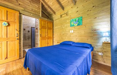 JUNGLE BOUTIQUE HOTEL WITH TWELVE BEDROOMS AND MOUNTAINS VIEWS, IN BAHIA – 7.17 ACRES