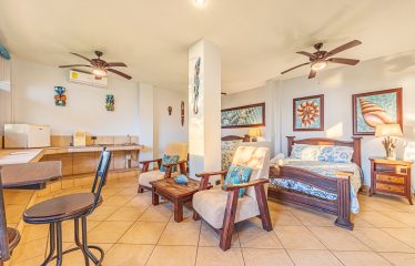 VILLA PACIFICA LUXURY PROPERTY WITH PANORAMIC OCEAN AND SUNSET VIEWS, IN DOMINICAL – 0.68 ACRES