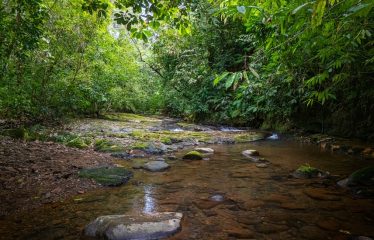 PROPERTY WITH PRINCIPAL HOUSE AND TWO VILLAS PROPERTY, IN OJOCHAL – 2.3 ACRES