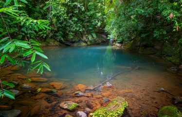 PROPERTY WITH PRINCIPAL HOUSE AND TWO VILLAS PROPERTY, IN OJOCHAL – 2.3 ACRES