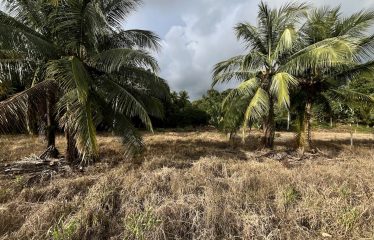 BUILDING PROPERTY WITH PUBLIC ROAD IN ROAD VIEWS, IN LA COLONIA – 14.2 ACRES