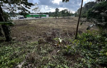 BUILDING PROPERTY WITH PUBLIC ROAD IN ROAD VIEWS, IN LA COLONIA – 14.2 ACRES