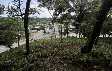 BUILDING PROPERTY WITH PUBLIC ROAD IN ROAD VIEWS, IN LA COLONIA – 14.2 ACRES