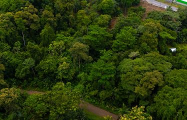 BUILDING PROPERTY WITH PUBLIC ROAD IN ROAD VIEWS, IN LA COLONIA – 14.2 ACRES