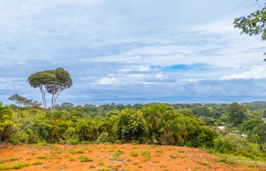 BUILDING PROPERTY WITH PUBLIC ROAD IN ROAD VIEWS, IN LA COLONIA – 14.2 ACRES