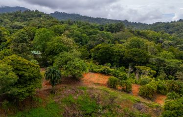 BUILDING PROPERTY WITH PUBLIC ROAD IN ROAD VIEWS, IN LA COLONIA – 14.2 ACRES