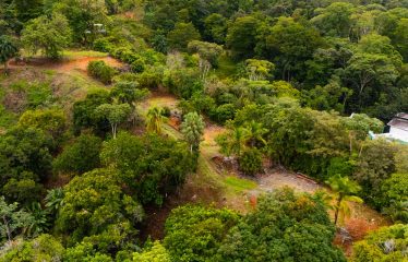 BUILDING PROPERTY WITH PUBLIC ROAD IN ROAD VIEWS, IN LA COLONIA – 14.2 ACRES