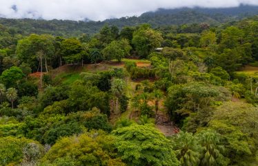 BUILDING PROPERTY WITH PUBLIC ROAD IN ROAD VIEWS, IN LA COLONIA – 14.2 ACRES