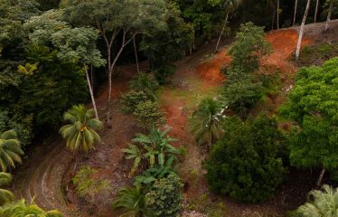 BUILDING PROPERTY WITH PUBLIC ROAD IN ROAD VIEWS, IN LA COLONIA – 14.2 ACRES