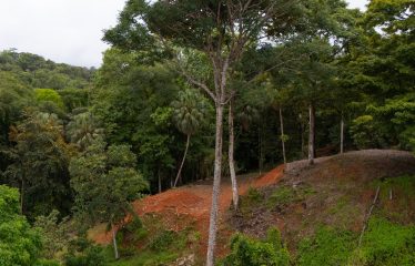 BUILDING PROPERTY WITH PUBLIC ROAD IN ROAD VIEWS, IN LA COLONIA – 14.2 ACRES