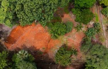 BUILDING PROPERTY WITH PUBLIC ROAD IN ROAD VIEWS, IN LA COLONIA – 14.2 ACRES