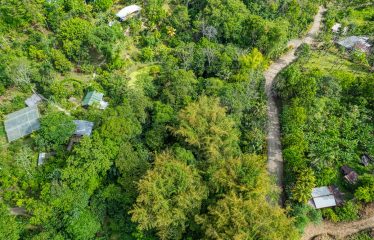 COMMERCIAL HOTEL PROPERTY WITH SIXTEEN BEDROOMS, IN LA TUMBAS TINAMASTES – 62 ACRES