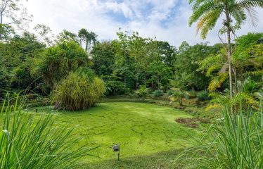 COMMERCIAL HOTEL PROPERTY WITH SIXTEEN BEDROOMS, IN LA TUMBAS TINAMASTES – 62 ACRES