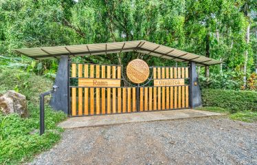 COMMERCIAL HOTEL PROPERTY WITH SIXTEEN BEDROOMS, IN LA TUMBAS TINAMASTES – 62 ACRES