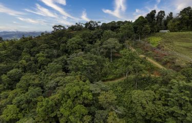 PROPERTY WITH A PANORAMIC VIEWS OF A MOUNTAINS AND WATERFALL, IN ALFOMBRA TINAMASTES – 21.34 ACRES